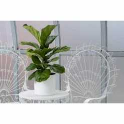 United Nursery 10 in. Matte White Fiberglass Houseplant Decor Pot 11 United Nursery 10 in. Matte White Fiberglass Houseplant Decor Pot -Cheap Garden Center Store matte white united nursery plant pots 03428 31 1000