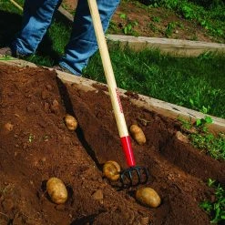 Razor-Back Potato Hook -Cheap Garden Center Store razor back cultivators 75144 40 1000