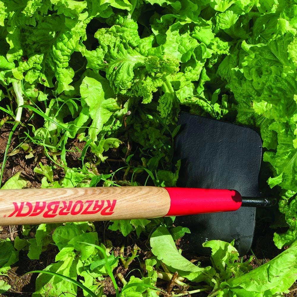 Razor-Back Meadow/Blackland Hoe 4 Razor-Back Meadow/Blackland Hoe - Image 2