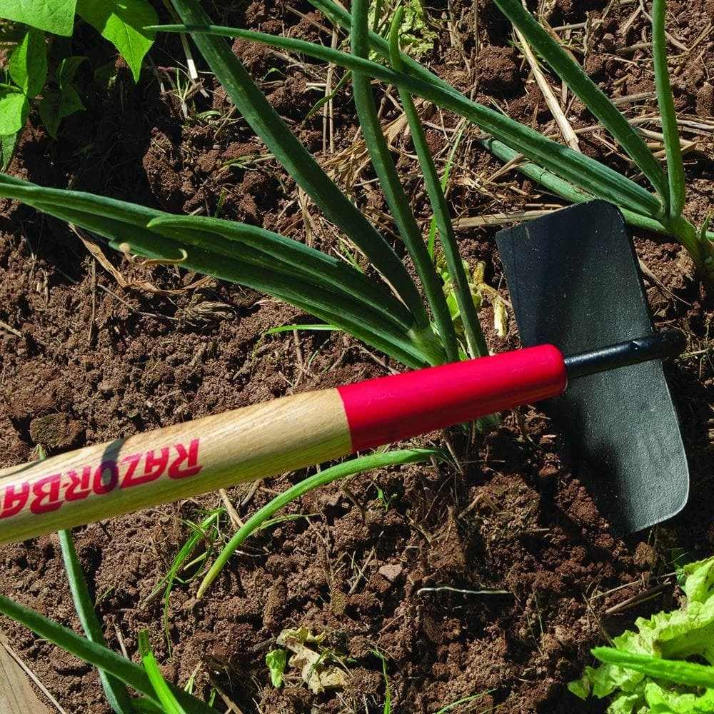 Razor-Back Cotton Hoe 6 Razor-Back Cotton Hoe - Image 4