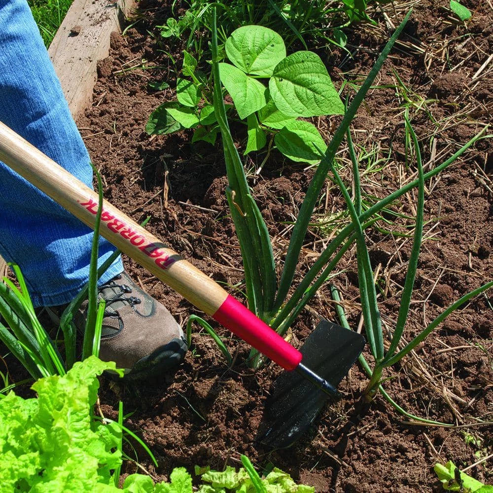 Razor-Back Cotton Hoe 4 Razor-Back Cotton Hoe - Image 2