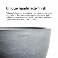 United Nursery Aglaonema Ruby Ray Live Chineese Evergreen in 6 in. Premium Ecopots Pure White -Cheap Garden Center Store united nursery indoor plants arubyray6shpw 44 1000