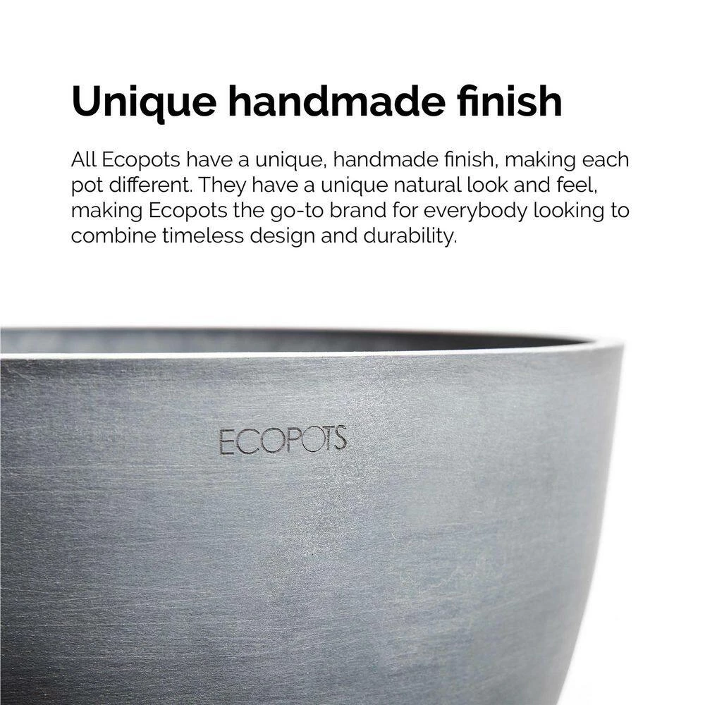 United Nursery Croton Petra Live Codiaeum Variegatum in 6 in. Premium Ecopots Terracotta 7 United Nursery Croton Petra Live Codiaeum Variegatum in 6 in. Premium Ecopots Terracotta - Image 5