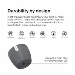 United Nursery Golden Pothos Plant Live Pothos in 6 in. Premium Ecopots Pure White -Cheap Garden Center Store united nursery indoor plants gpothossh6pw 1f 1000