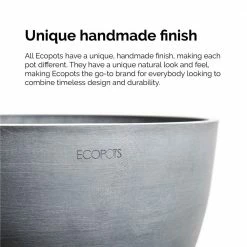 United Nursery Snake Plant Live Sansevieria Laurentii in 6 in. Premium Ecopots Pure White -Cheap Garden Center Store united nursery indoor plants slauren6shpw 44 1000