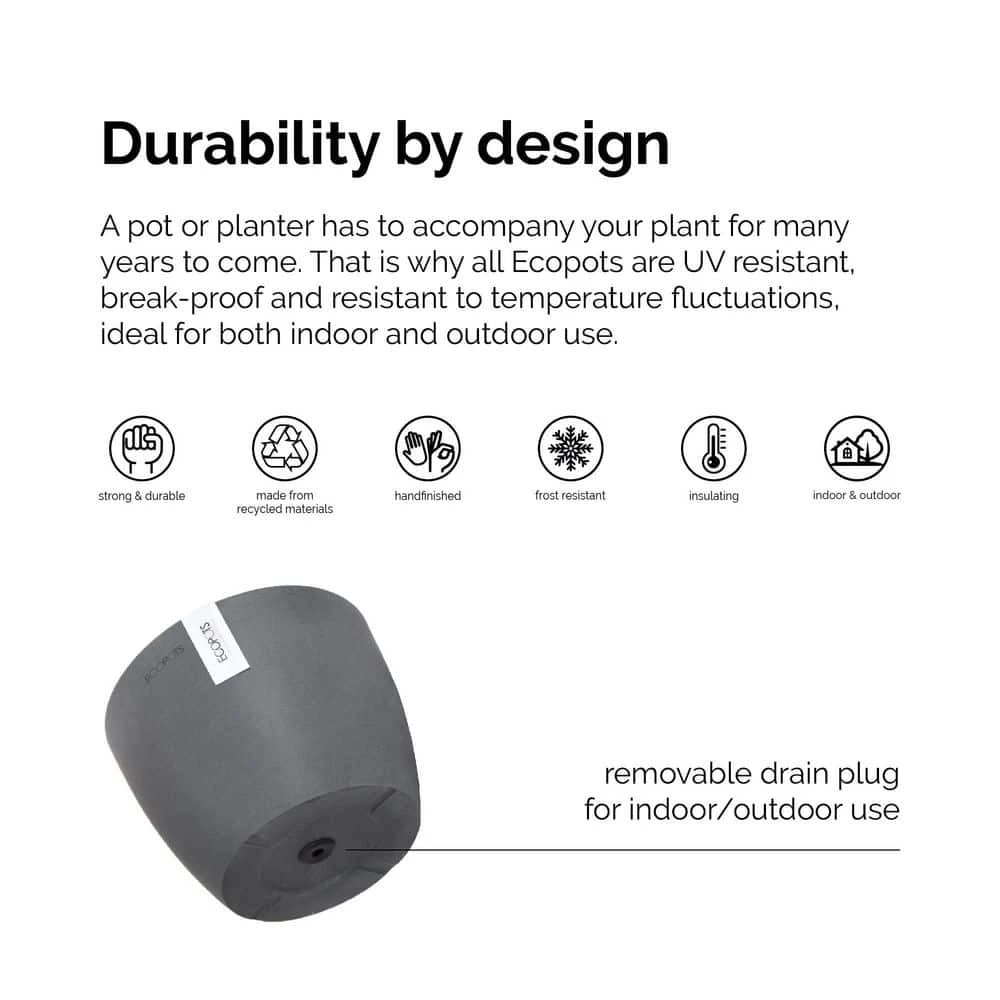 United Nursery Zamioculcas Zamiifolia Live ZZ Plant in 6 in. Premium Ecopots Pure White 6 United Nursery Zamioculcas Zamiifolia Live ZZ Plant in 6 in. Premium Ecopots Pure White - Image 4