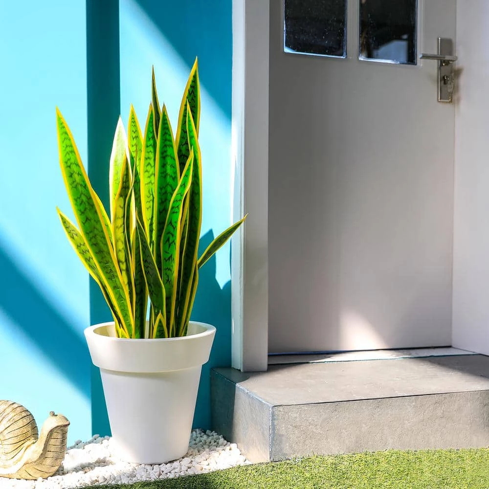 Worth Garden 12 in. Dia x 12 in. H White Self-Watering Plastic Round Planter Pots with Liners (2-Pack) 4 Worth Garden 12 in. Dia x 12 in. H White Self-Watering Plastic Round Planter Pots with Liners (2-Pack) - Image 2