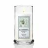 Courtside Market Eucalyptus Vase Status Candle Glass 18 oz. -Cheap Garden Center Store whites courtside market outdoor lanterns can gm137 18s 64 1000