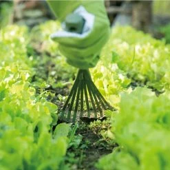 Worth Garden Garden Hand Carbon Steel 9-Teeth Broom -Cheap Garden Center Store worth garden leaf collecting tools 2014 1f 1000