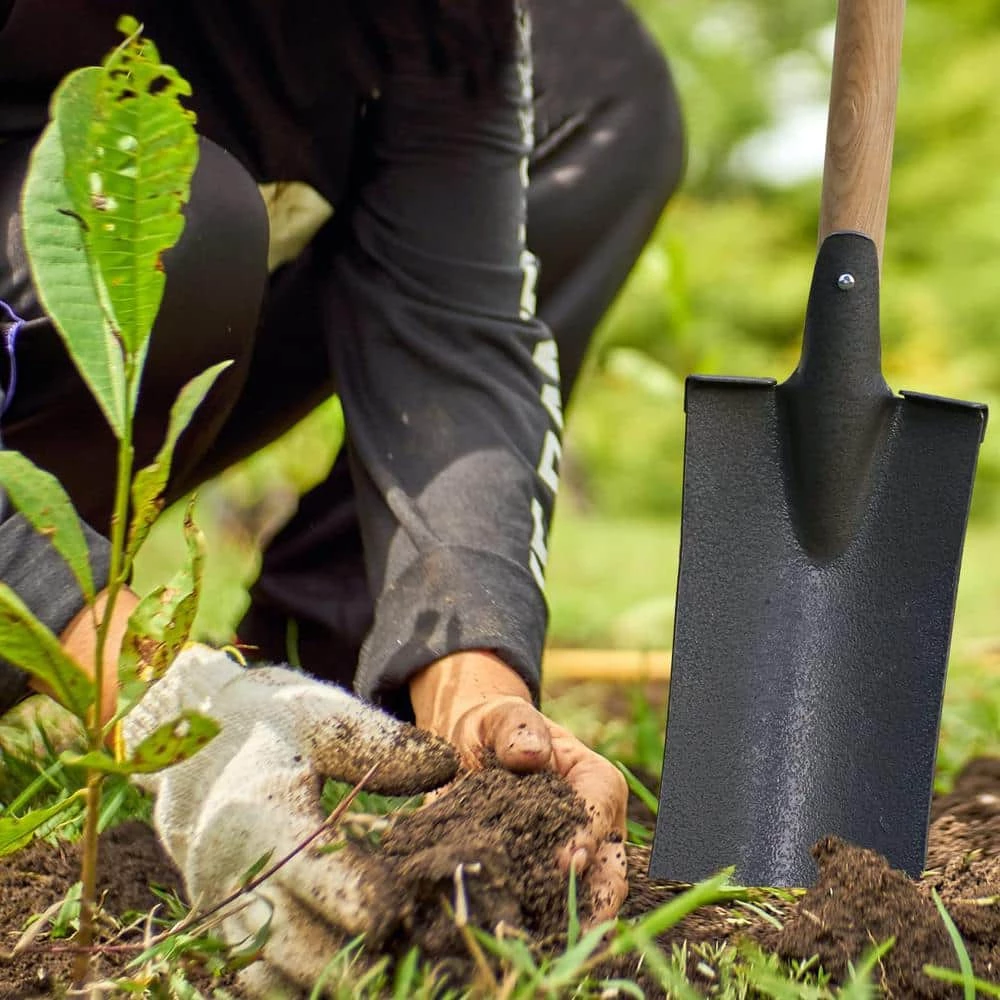 Worth Garden 48 in. Rectangular Flat Edge Carbon Steel Spade Shovel with a 35 in. L Wood Handle 7 Worth Garden 48 in. Rectangular Flat Edge Carbon Steel Spade Shovel with a 35 in. L Wood Handle - Image 5