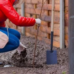 Worth Garden 47 in. Wood Handle Curve Edge Carbon Steel Spade Shovel -Cheap Garden Center Store worth garden shovels t589a00 1f 1000