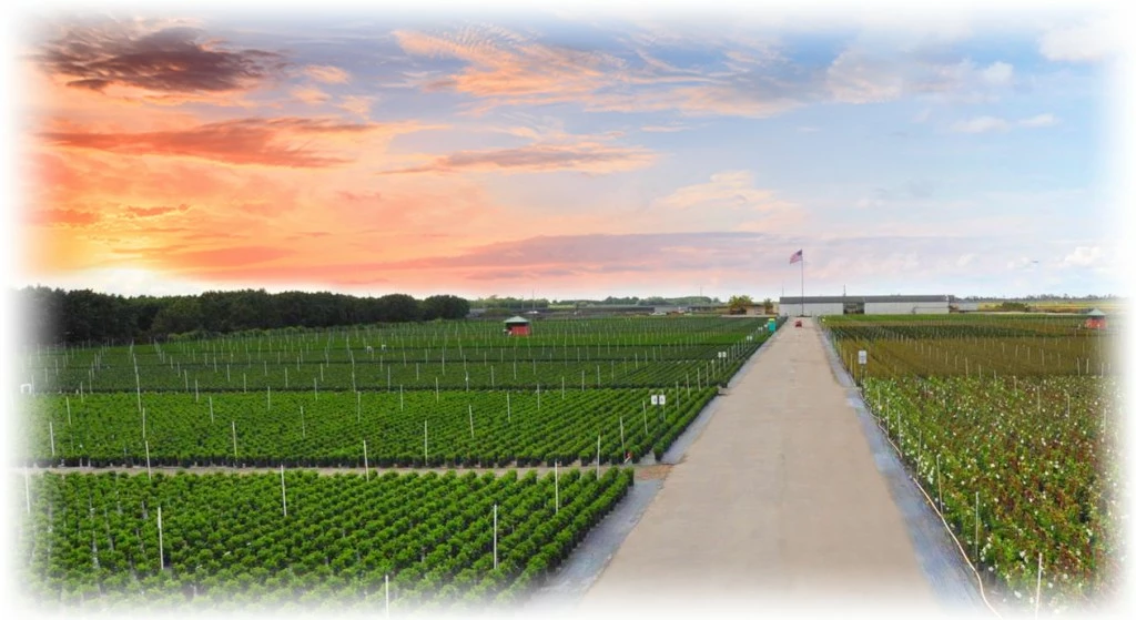 Cheap Garden Center Store -Cheap Garden Center Store About us hero pic 1024x559 1